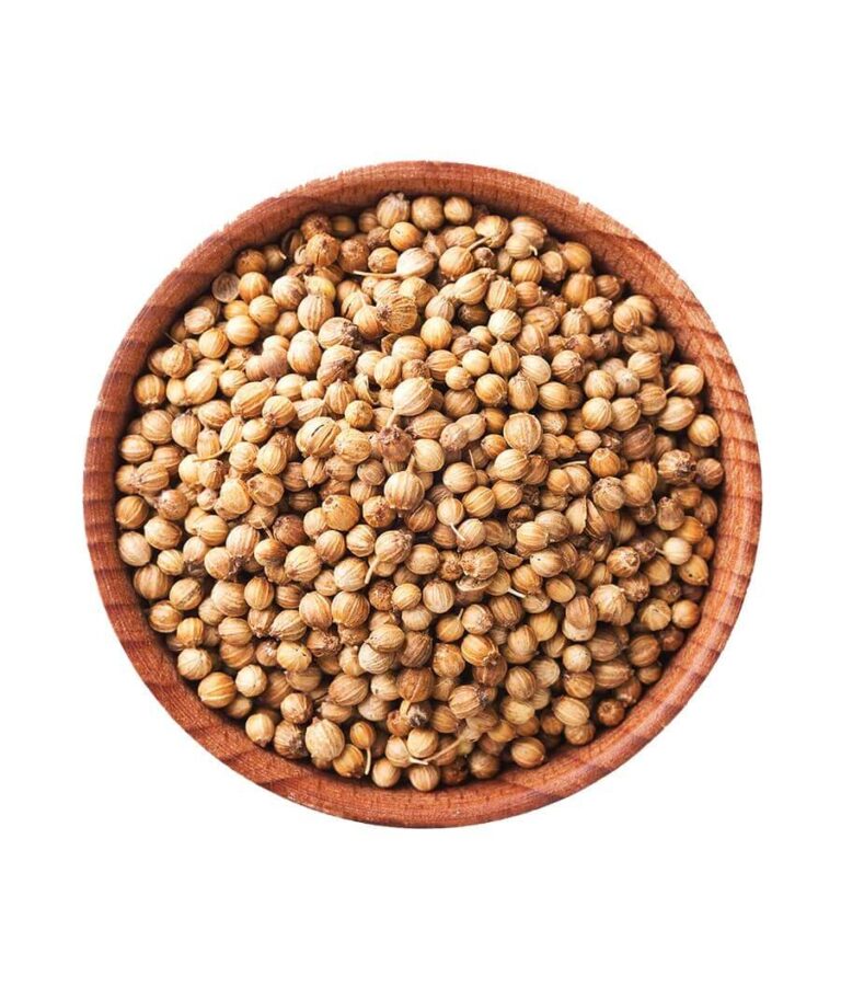 Coriander