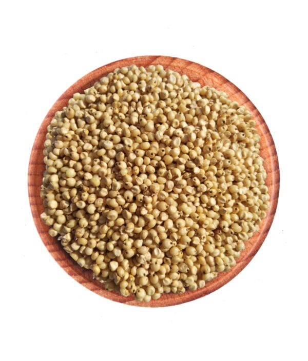 Sorghum Seeds (Bajra)