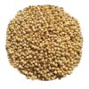 Sorghum Seeds (Bajra)